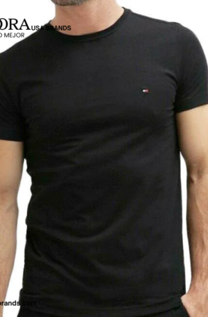 POLO - TOMMYH - 7849808: imagen 1