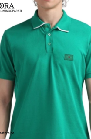 POLO - TOMMYH - 78JA244